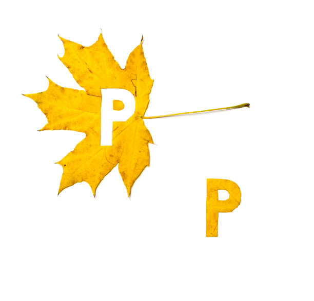 Имена на букву П Имена на букву П