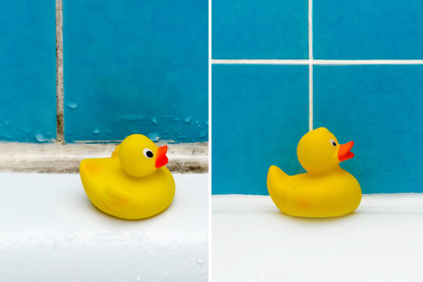 antes y después de renovar el concepto, un juguete del pato en primer plano de baño - pájaro azulejo fotografías e imágenes de stock