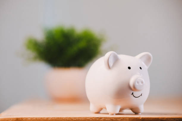 istock White piggy bank with coins on a distressed wood surface 1027649578