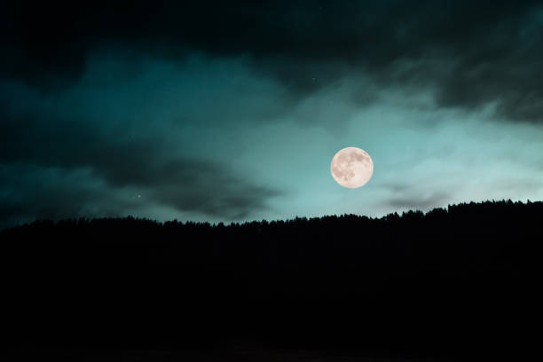 istock Full Moon over the mountain woodland. Halloween concept 1027650204