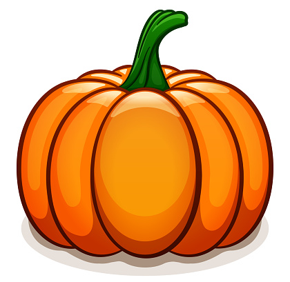 Vector Pumpkin On White Background Stock Illustration - Download Image ...
