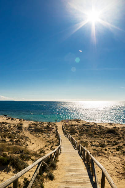 istock Wooden footpath with a couple at the end on the beach 1027669952