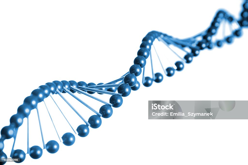 DNA strand modelo - Royalty-free ADN Foto de stock