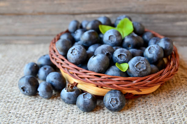 istock Freshly picked blueberries in a basket on a burlap cloth background.Fresh organic blueberry.Bilberries.Healthy eating,vegan diet or raw food concept.Selective focus 1027677012