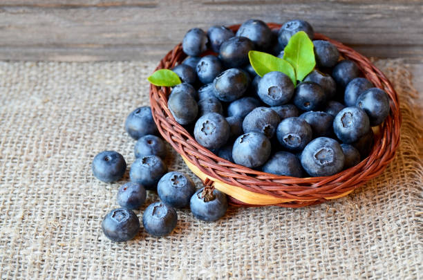 istock Freshly picked blueberries in a basket on a burlap cloth background.Fresh organic blueberry.Bilberries.Healthy eating,vegan diet or raw food concept.Selective focus 1027677190
