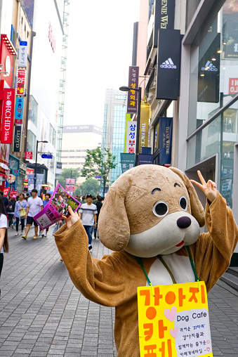 MYEONGDONG, SEOUL, SOUTH KOREA September ,24, ‎2017. dog cafe promotion at myeongdong shoping street