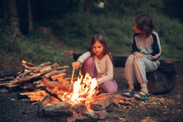 istock Boy and girl by the camp fire 1027692646