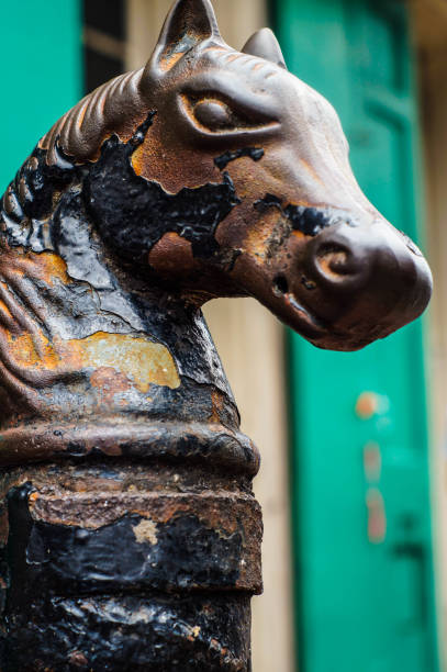 istock Horse Hitch New Orleans 1027700580