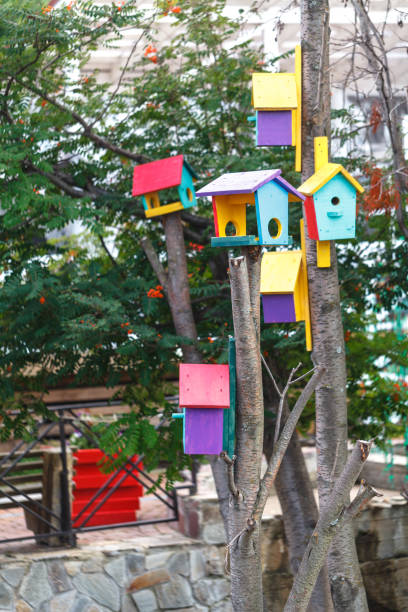 istock Colorful bird houses on tree trunk in forest 1027701440