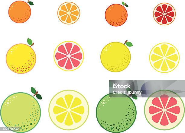Citrus 블러드 오렌지에 대한 스톡 벡터 아트 및 기타 이미지 - 블러드 오렌지, 0명, 감귤류 과일