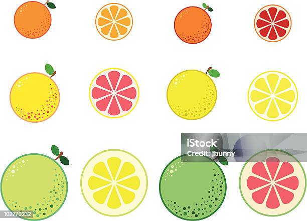 Citrinos - Arte vetorial de stock e mais imagens de Laranja Vermelha - Laranja Vermelha, Alimentação Saudável, Amarelo