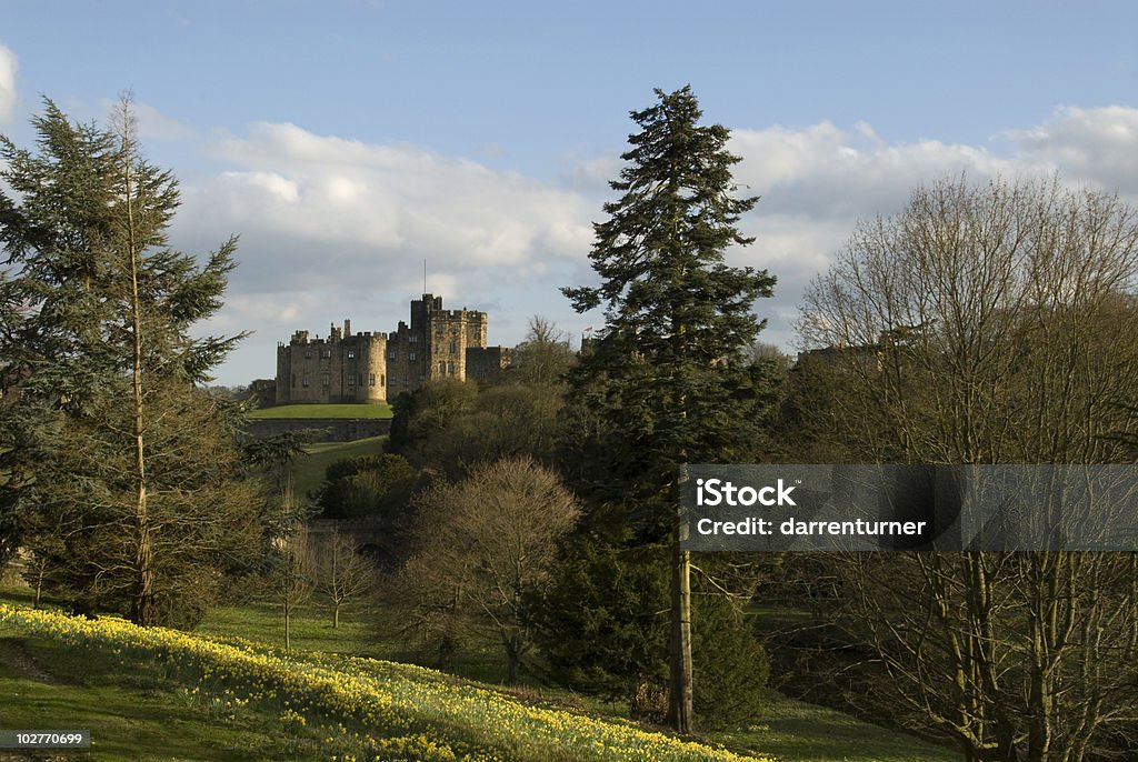 Château d'Alnwick et Pont des Lions - Photo de Château d'Alnwick libre de droits