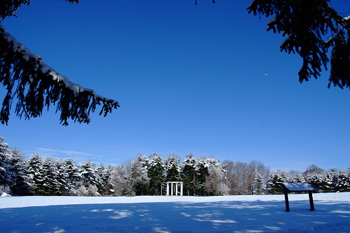 Pine trees linger at the top of this photo.\nSnow covers the ground and trees far away.\nBlue takes up the whole sky and snow.\nIsn't it beautiful?