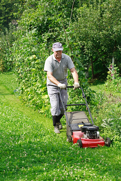 istock Older gentleman mowing the lawn with a push mower 102771403
