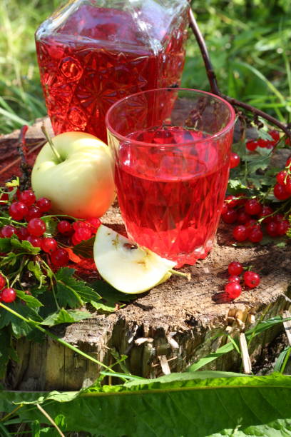 istock Tincture of red currant 1027715156