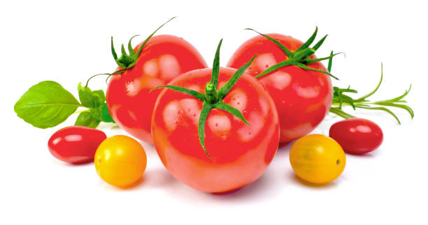 istock Delicious fresh tomatoes, close up shot 1027715318