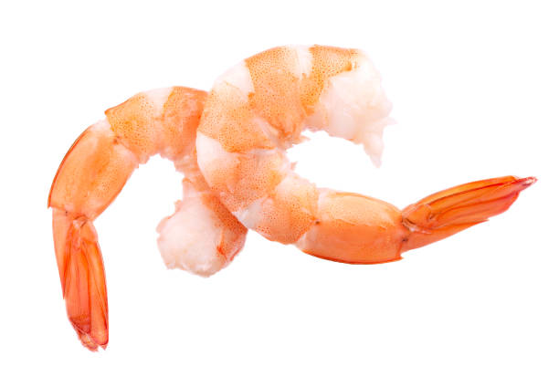istock Two red cooked prawn or tiger shrimp isolated on white background 1027724292