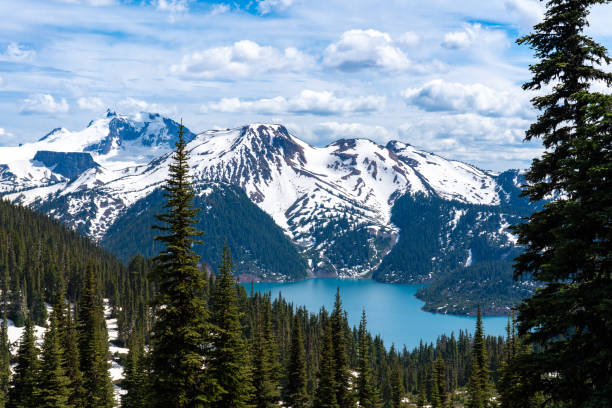 istock Garibaldi Lake Overlook 1027728312