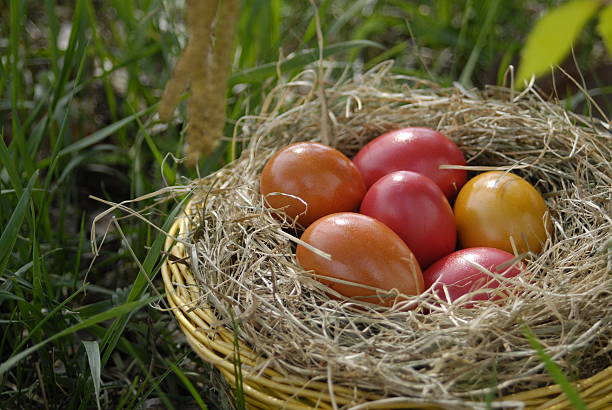 Easter egg basket stock photo