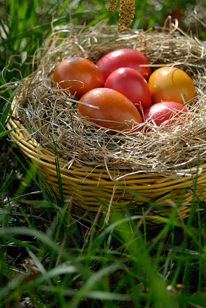 colorfull easter basket stock photo