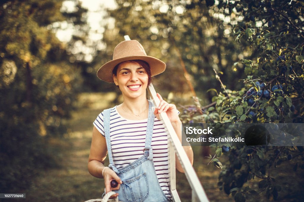 Bereit für die Ernte - Lizenzfrei Bauernberuf Stock-Foto