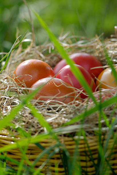 Easter egg basket stock photo