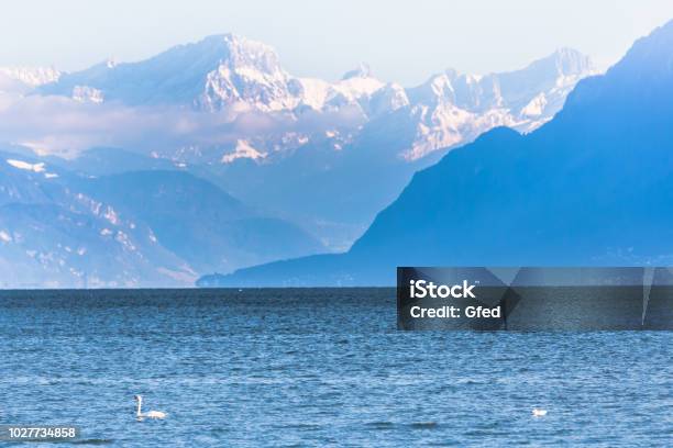 Mountains Over Lake Geneva Stock Photo - Download Image Now - Evian-les-Bains, Lake Geneva, Mountain