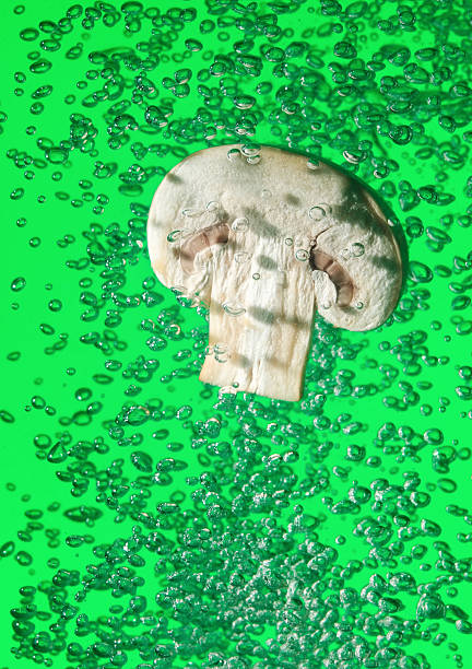 seta campestre caer en agua con burbujas de aire - mushroom edible mushroom water splashing fotografías e imágenes de stock