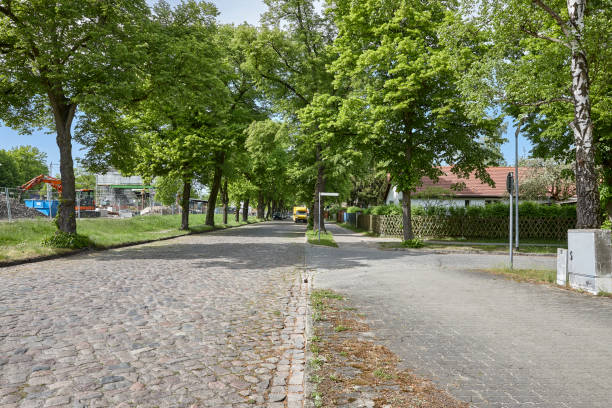 istock Cobblestone road at an old lime tree avenue 1027738596