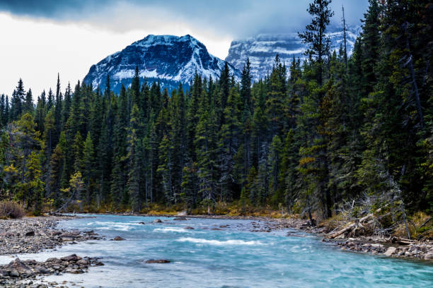 istock Vermillion Pass, Banff National Park, Alberta, Canada 1027741552