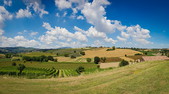 Panoramic view of the countryside in Coriano, Emilia Romagna countryside, Italy