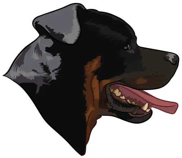 Vector illustration of Dog Rottweiler Vector Symbol