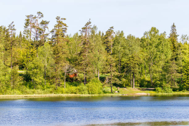 istock Forest lake with a beach in summer 1027746388