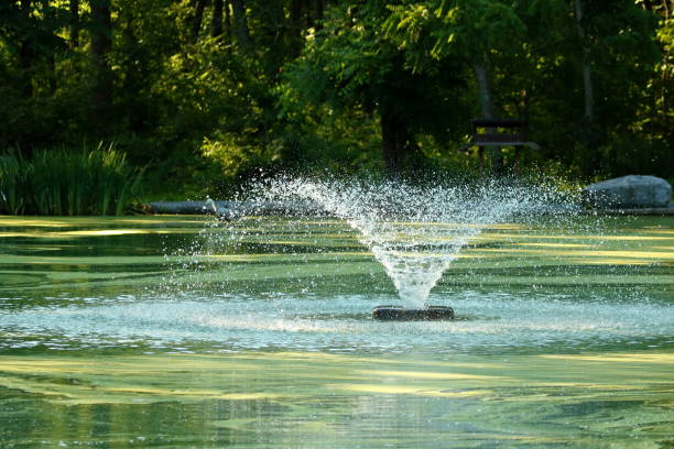 istock Water Fountain in Park Pond 1027746436