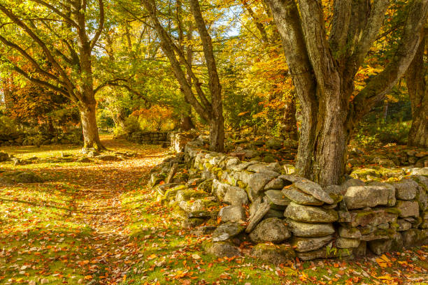 istock Garden path along a stone wall in autumn 1027746646