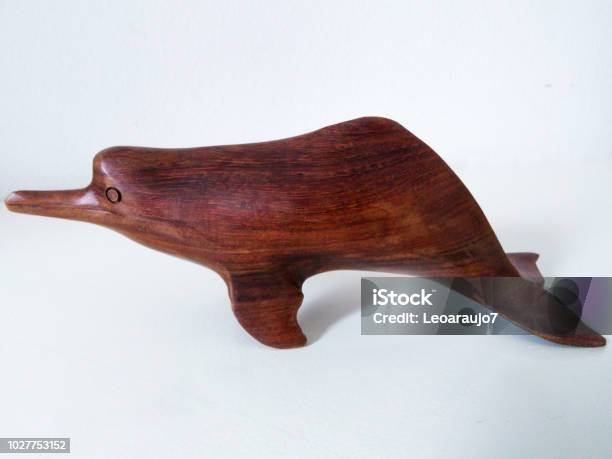 Dolphin Boto Stock Photo - Download Image Now - Animal, Atlantic Islands, Bone