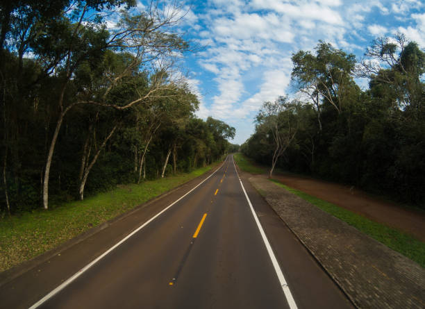 Horizon - Empty road in the forest - Horizonte - Estrada vazia na floresta Desert road details dirigir stock pictures, royalty-free photos & images