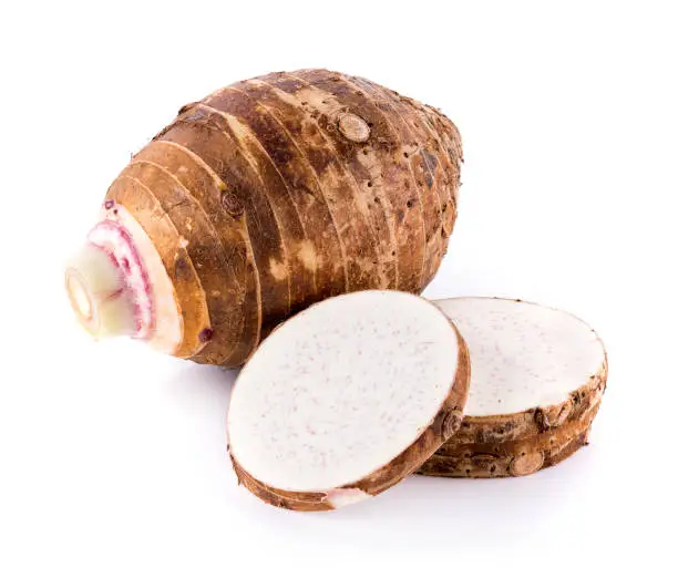 Photo of taro roots on white background