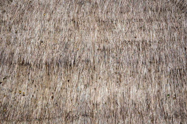 istock Roof made from grass 1027760868