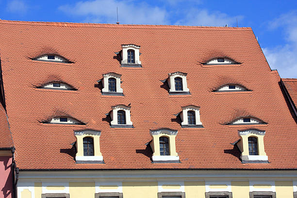 istock Old tiled roof with windows, Cheb - Czech Republic 102776095