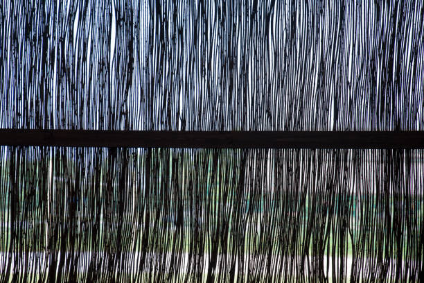 Background from the fence of their twigs