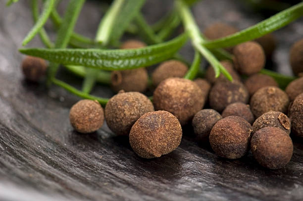 istock allspice with fresh rosemary 102776839