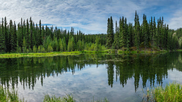 istock Horseshoe lake reflection view in Denali national park 1027771968