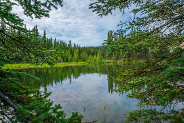 istock Horseshoe lake reflection view in Denali national park 1027772016