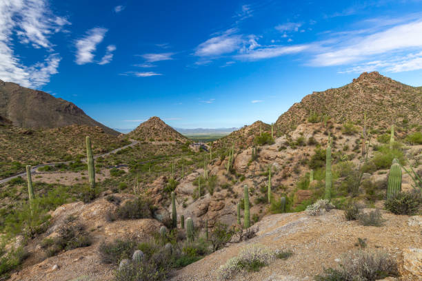 istock Gates pass road in Tucson 1027786566