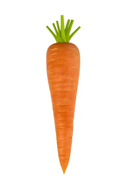 Carrot. Isolated on white background. The selected path
