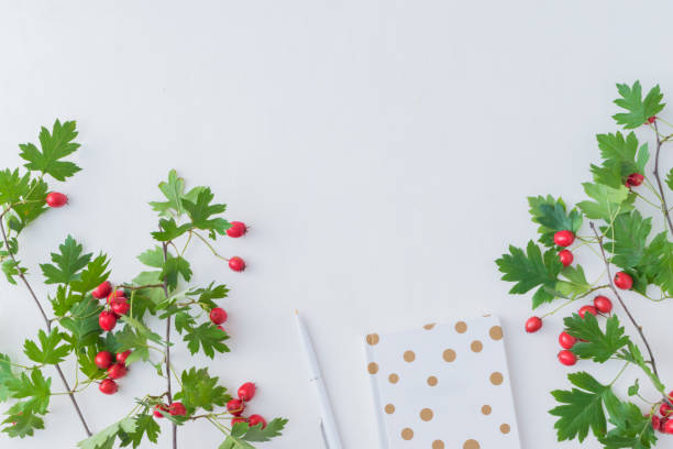 istock Flat lay desk and branch with red berries 1027796288