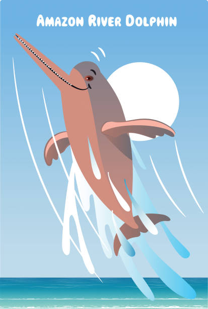 ilustrações, clipart, desenhos animados e ícones de golfinho do rio amazonas - amazon com illustrations