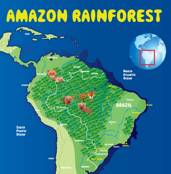 ilustraciones, imágenes clip art, dibujos animados e iconos de stock de mapa de la historieta de brasil - rio carnival brazil carnival rio de janeiro