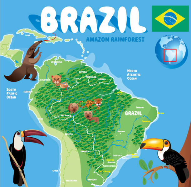 ilustraciones, imágenes clip art, dibujos animados e iconos de stock de mapa de la historieta de brasil - rio carnival brazil carnival rio de janeiro